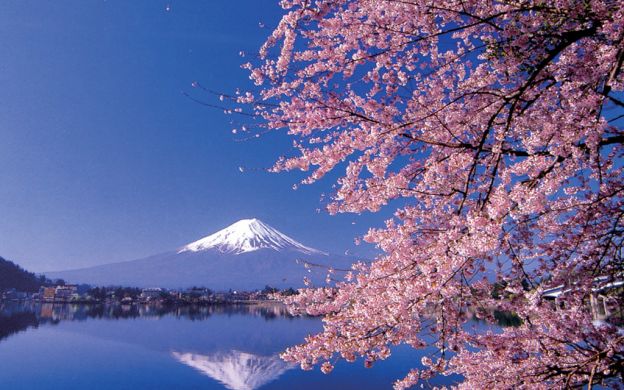 Tour tham quan Núi Phú Sĩ và Hakone - từ Tokyo